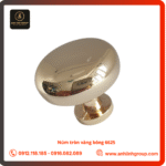 Núm tròn vàng bóng 6625